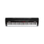 Alesis Coda Pro 88-key Weighted Key Digital Piano/Workstation