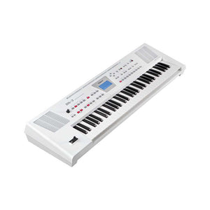 Roland BK-3 Backing Keyboard, White