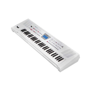 Roland BK-3 Backing Keyboard, White