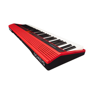 Roland GO:KEYS 61-key Music Creation Keyboard