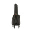 Fender FA610 Dreadnought Acoustic Guitar Gig Bag